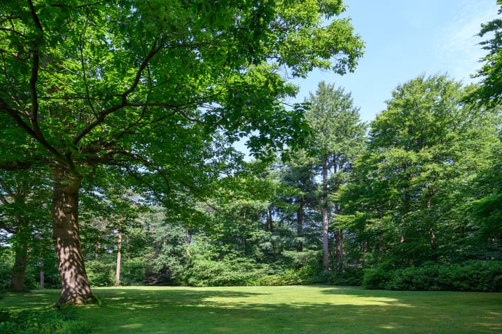 Foto 54 van Doonweg 7