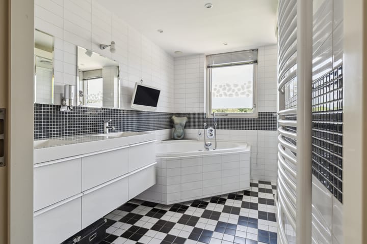 Foto 5 van Schijfkamille 9