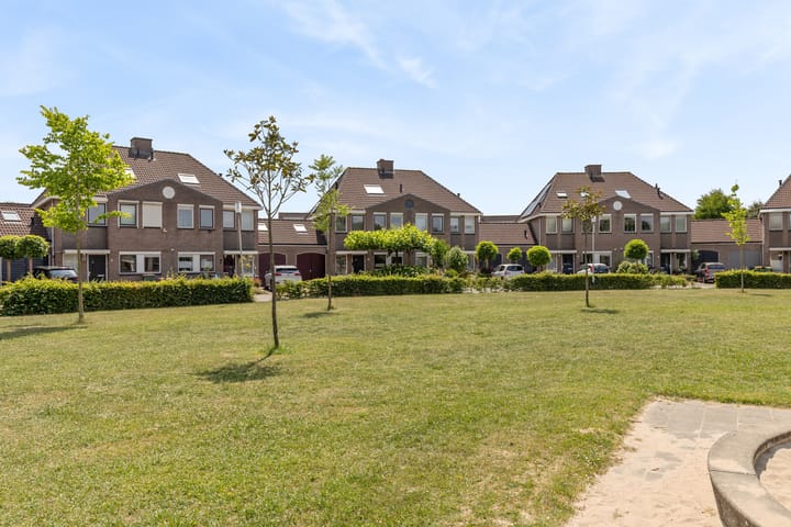 Foto 7 van Schijfkamille 9