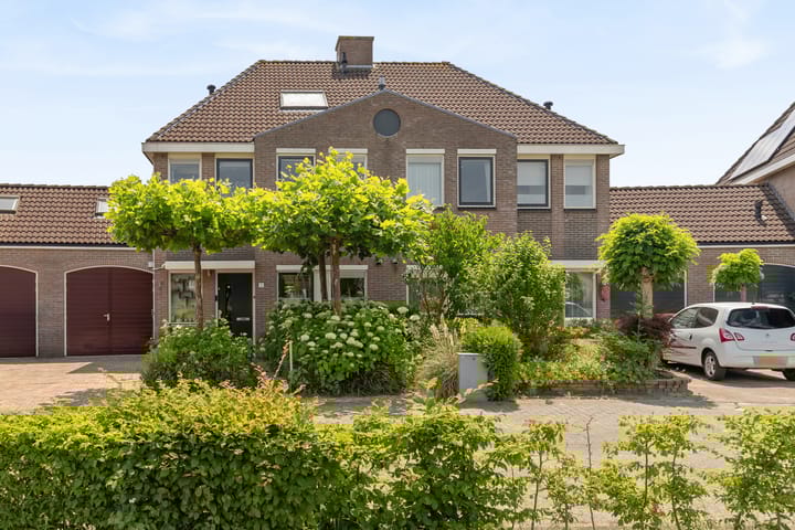 Foto 8 van Schijfkamille 9