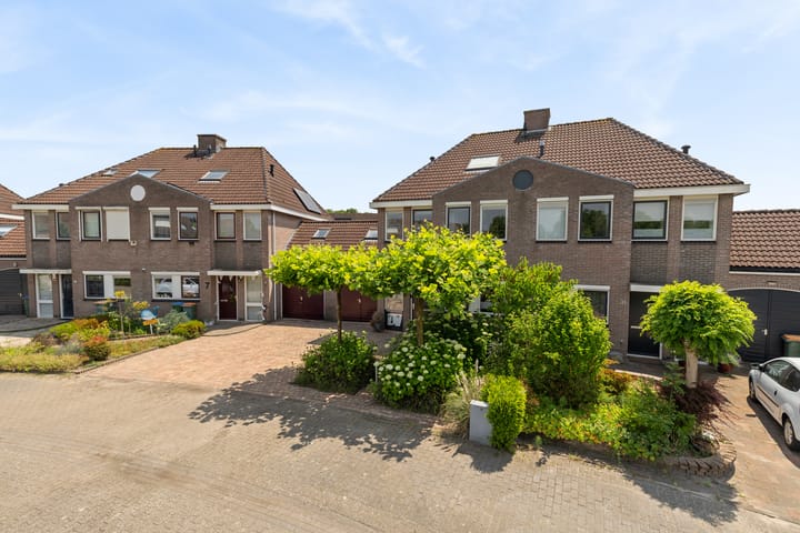 Foto 9 van Schijfkamille 9