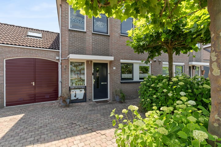 Foto 10 van Schijfkamille 9