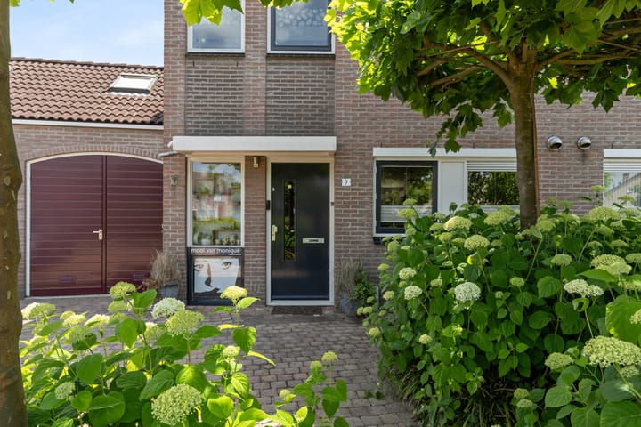 Foto 11 van Schijfkamille 9