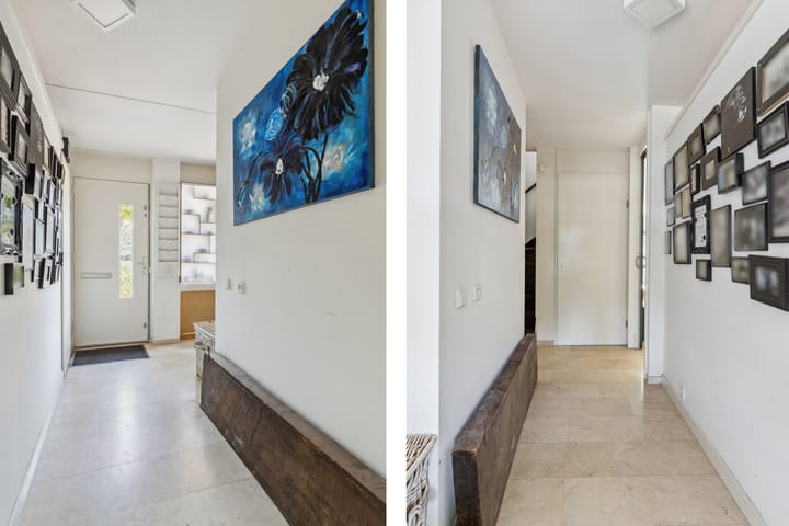 Foto 12 van Schijfkamille 9