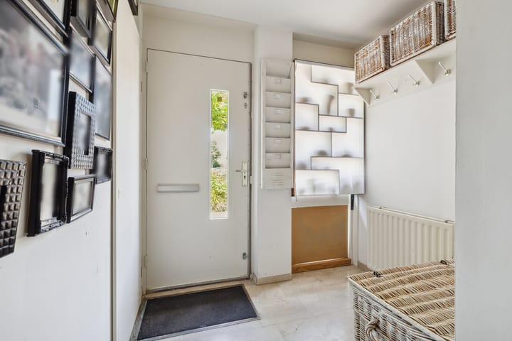 Foto 13 van Schijfkamille 9