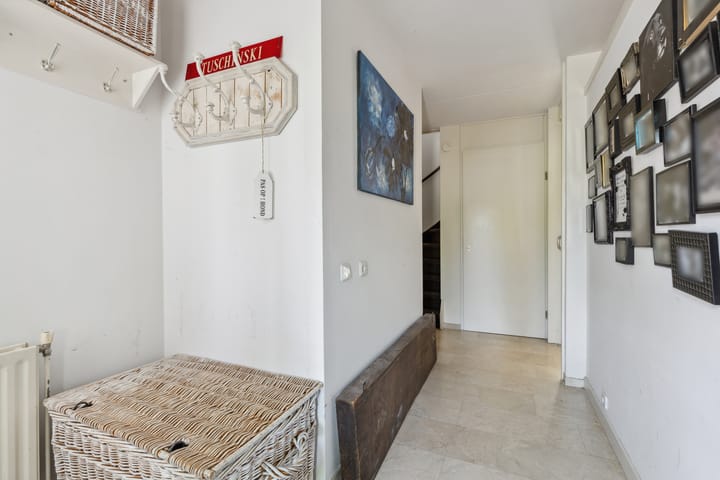 Foto 14 van Schijfkamille 9