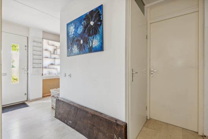 Foto 15 van Schijfkamille 9