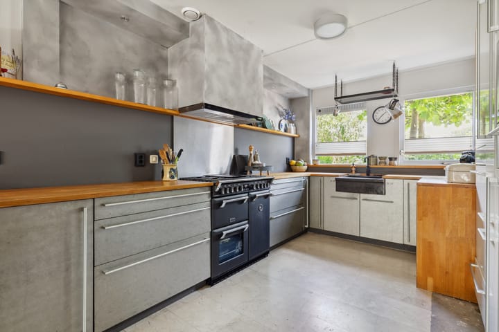 Foto 30 van Schijfkamille 9