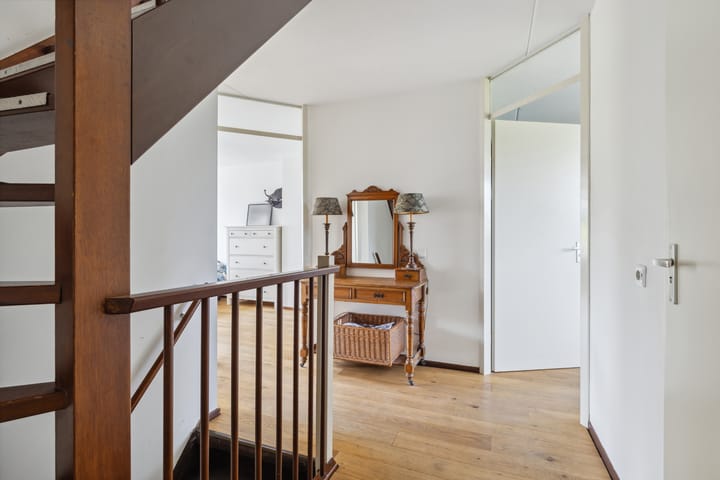 Foto 39 van Schijfkamille 9