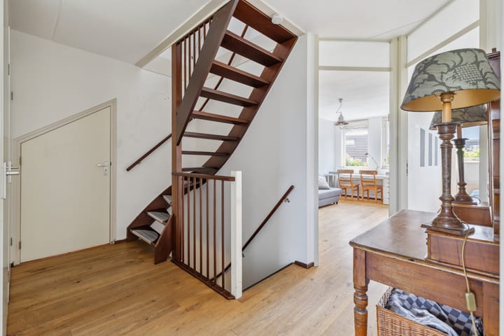 Foto 40 van Schijfkamille 9