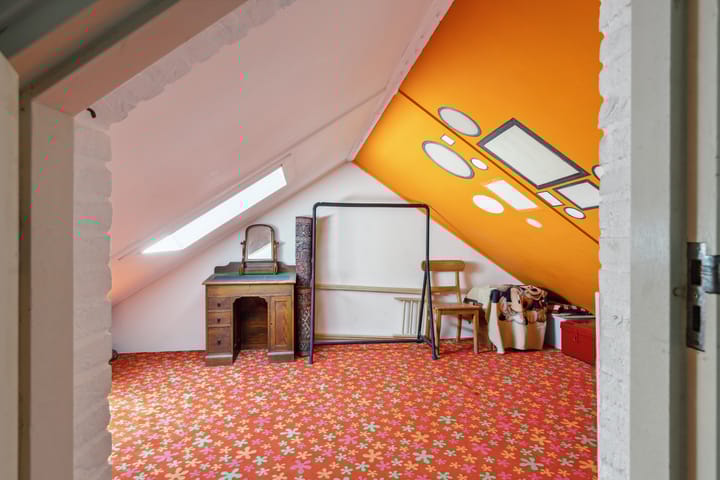 Foto 41 van Schijfkamille 9