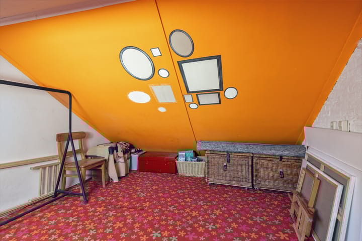 Foto 42 van Schijfkamille 9