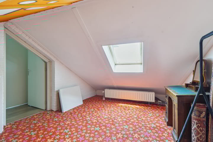 Foto 43 van Schijfkamille 9