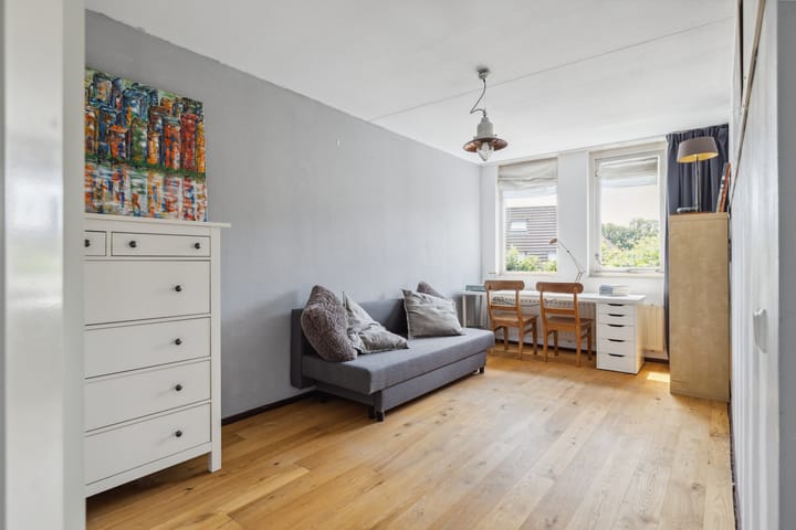 Foto 44 van Schijfkamille 9