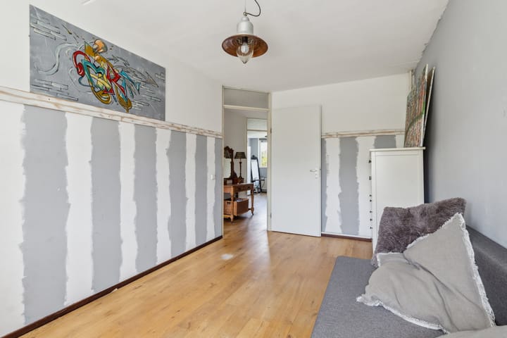 Foto 45 van Schijfkamille 9