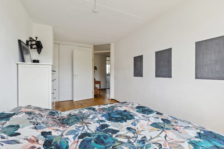 Foto 47 van Schijfkamille 9