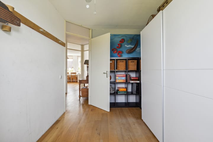 Foto 50 van Schijfkamille 9