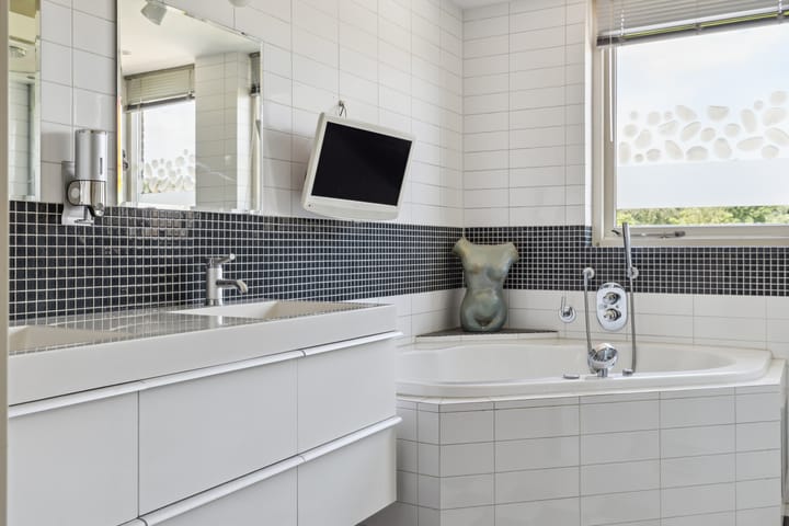 Foto 52 van Schijfkamille 9