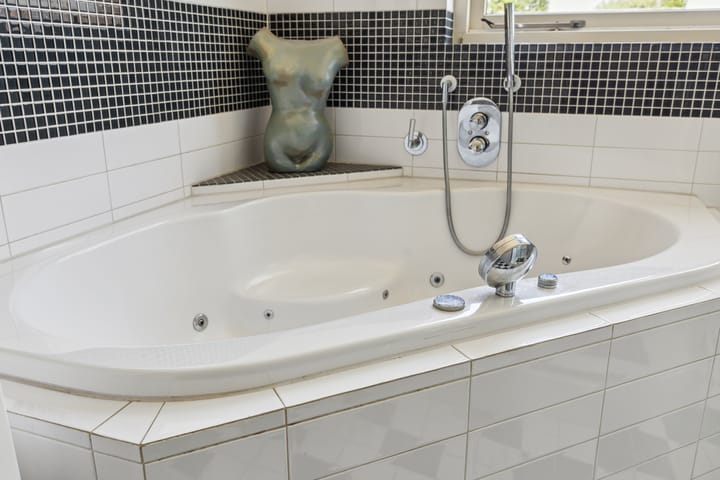 Foto 53 van Schijfkamille 9