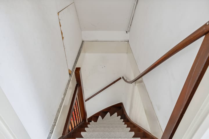 Foto 56 van Schijfkamille 9