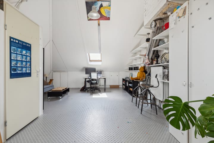 Foto 57 van Schijfkamille 9