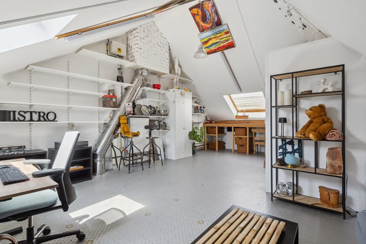 Foto 61 van Schijfkamille 9