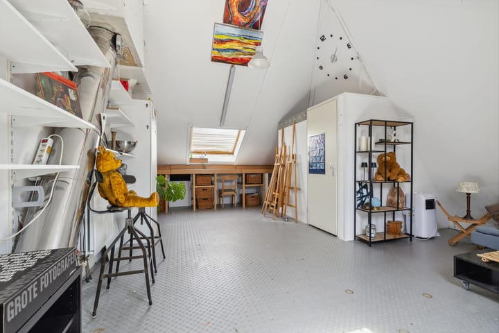 Foto 59 van Schijfkamille 9