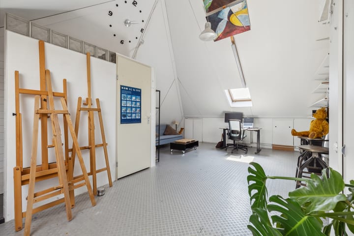 Foto 58 van Schijfkamille 9