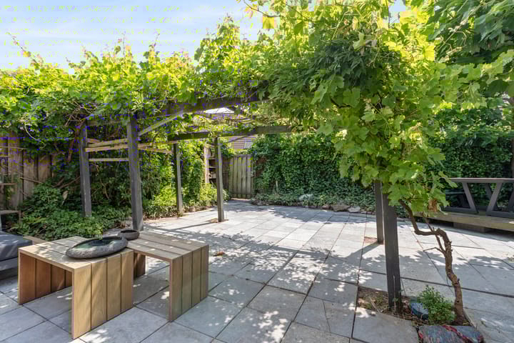 Foto 66 van Schijfkamille 9