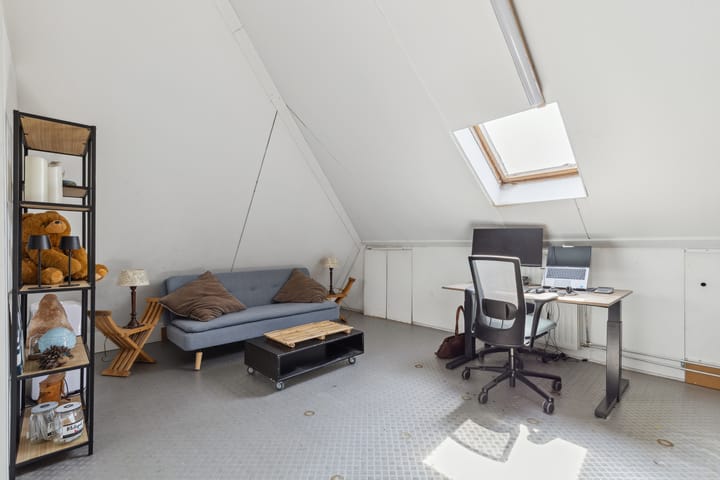 Foto 60 van Schijfkamille 9