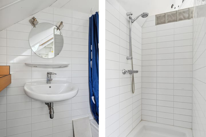 Foto 64 van Schijfkamille 9