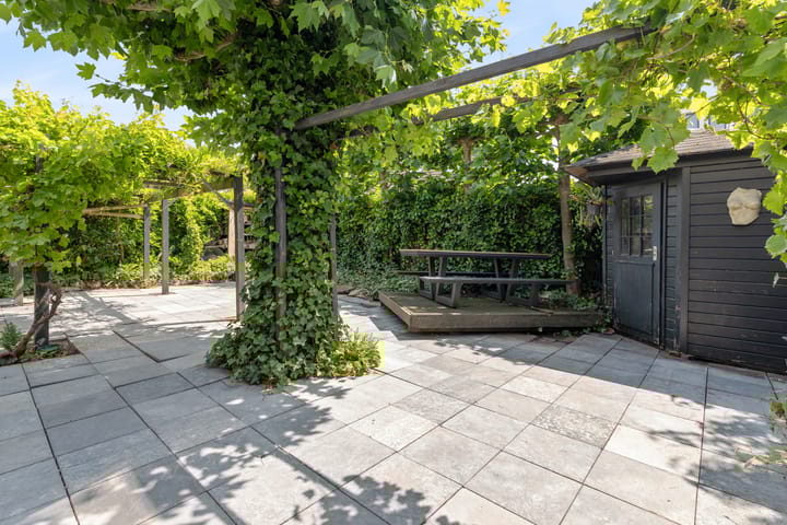 Foto 65 van Schijfkamille 9