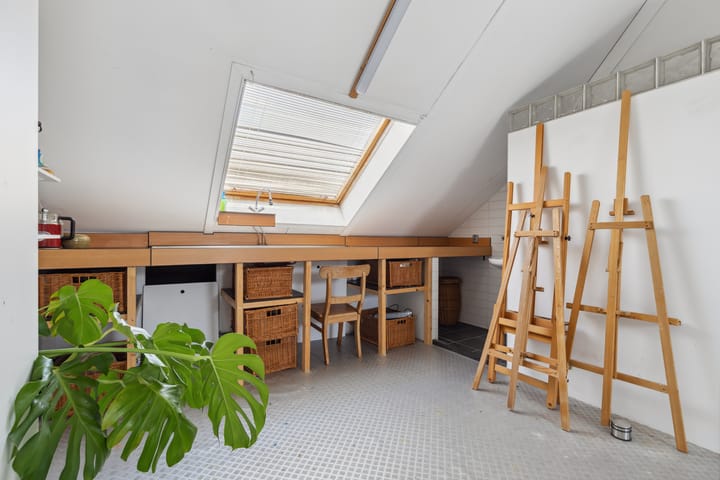 Foto 62 van Schijfkamille 9