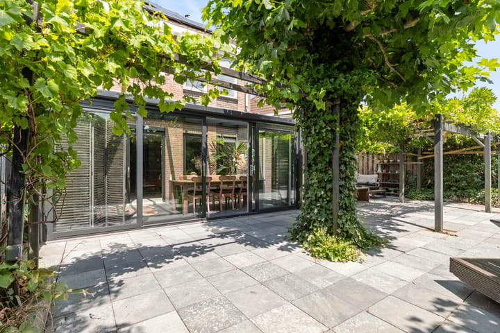 Foto 69 van Schijfkamille 9