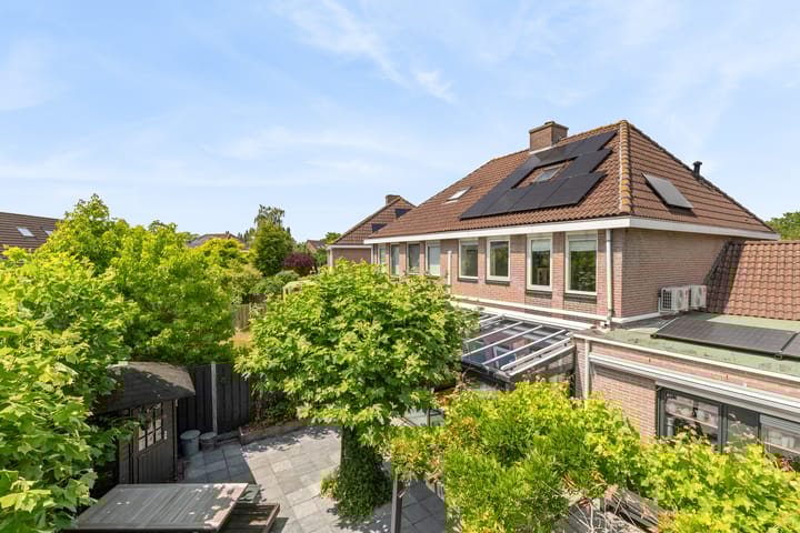 Foto 71 van Schijfkamille 9