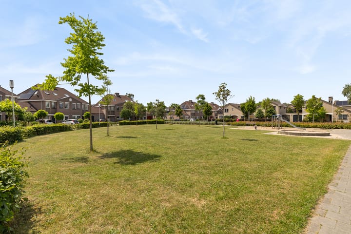 Foto 72 van Schijfkamille 9