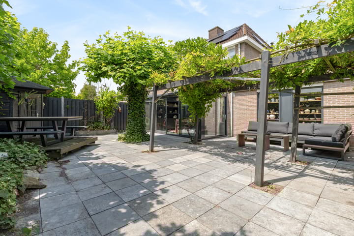 Foto 68 van Schijfkamille 9