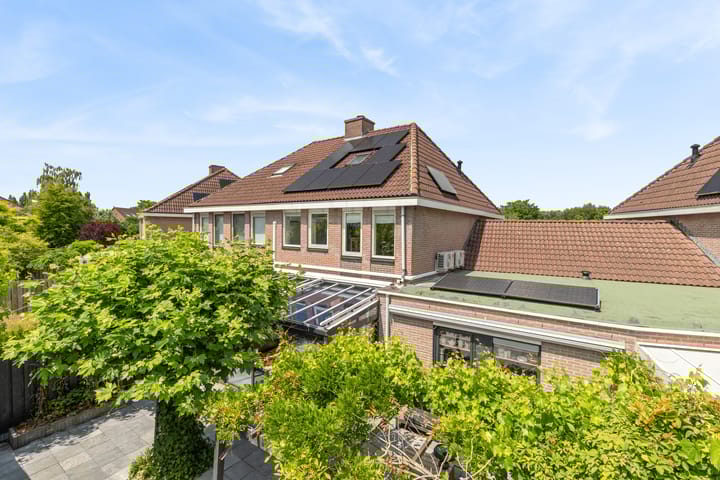 Foto 70 van Schijfkamille 9