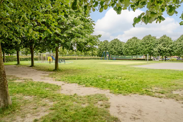 Foto 53 van Willemijn Posthumustuin 8