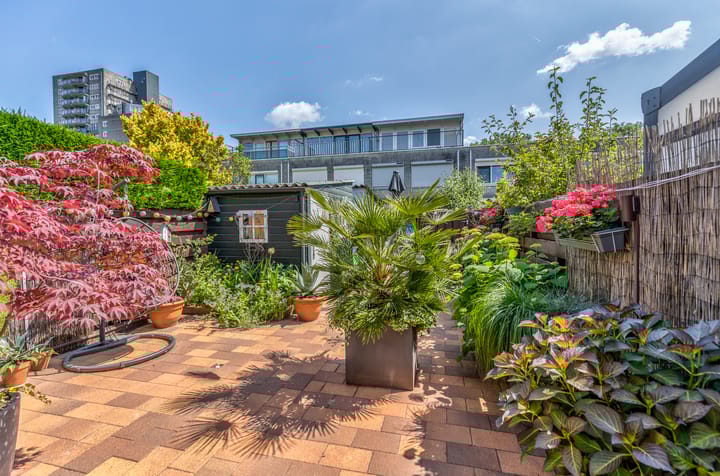 Foto 22 van Stikkerpad 12