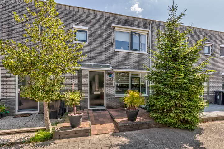 Foto 24 van Stikkerpad 12