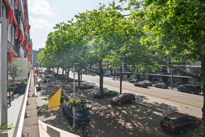 Foto 18 van Goudsesingel 49-B