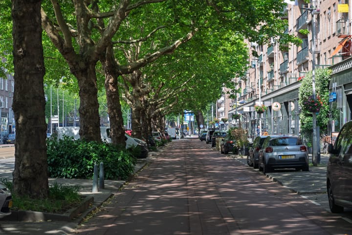 Foto 26 van Goudsesingel 49-B