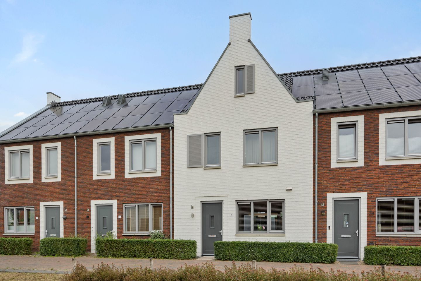 Foto 1 van Ranonkel 21