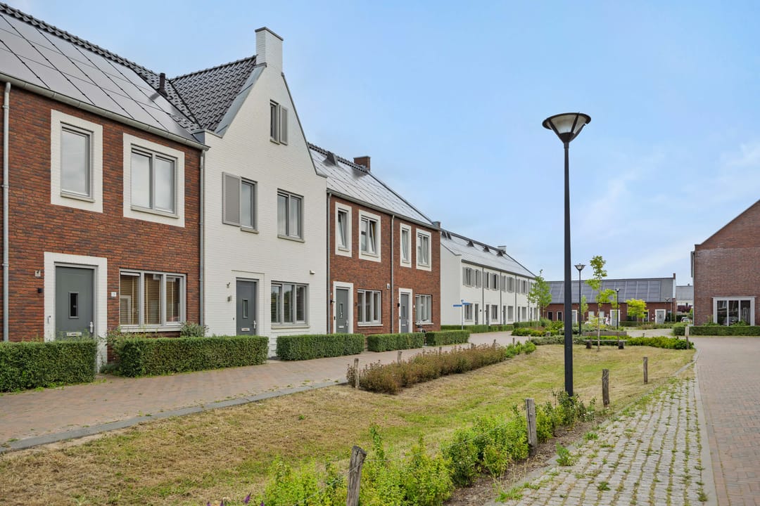 Foto 2 van Ranonkel 21