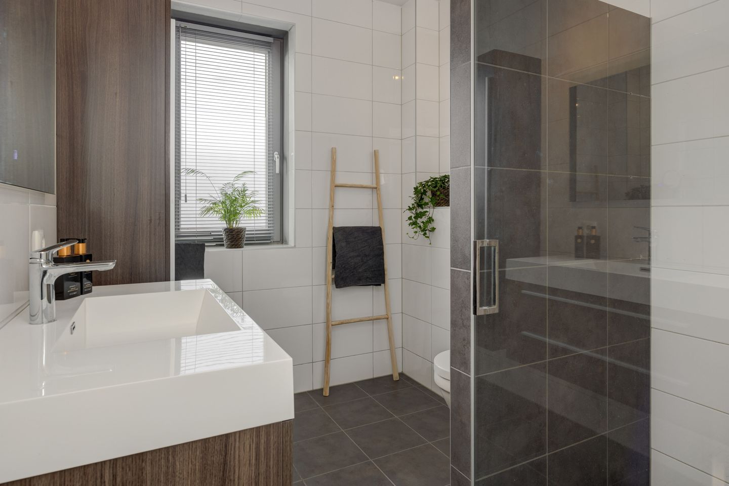 Foto 19 van Ranonkel 21