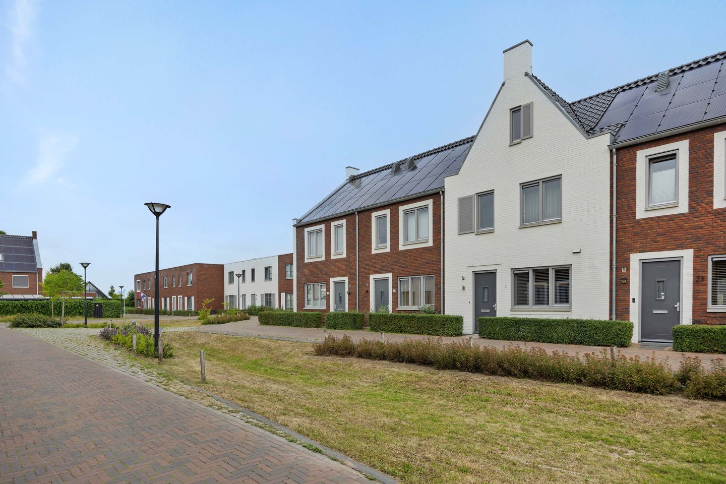 Foto 35 van Ranonkel 21