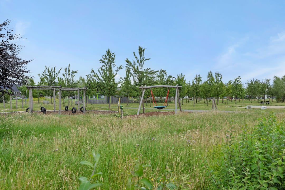 Foto 37 van Ranonkel 21