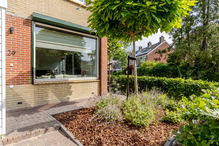 Foto 35 van Polaris 29