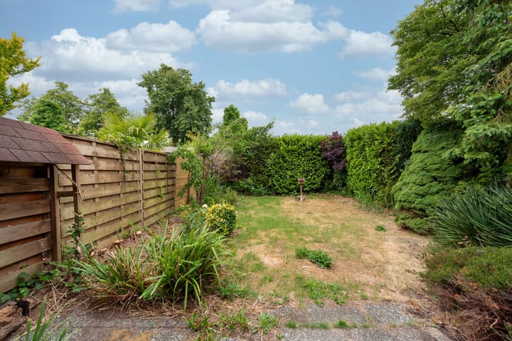 Foto 17 van Rietspinner 6